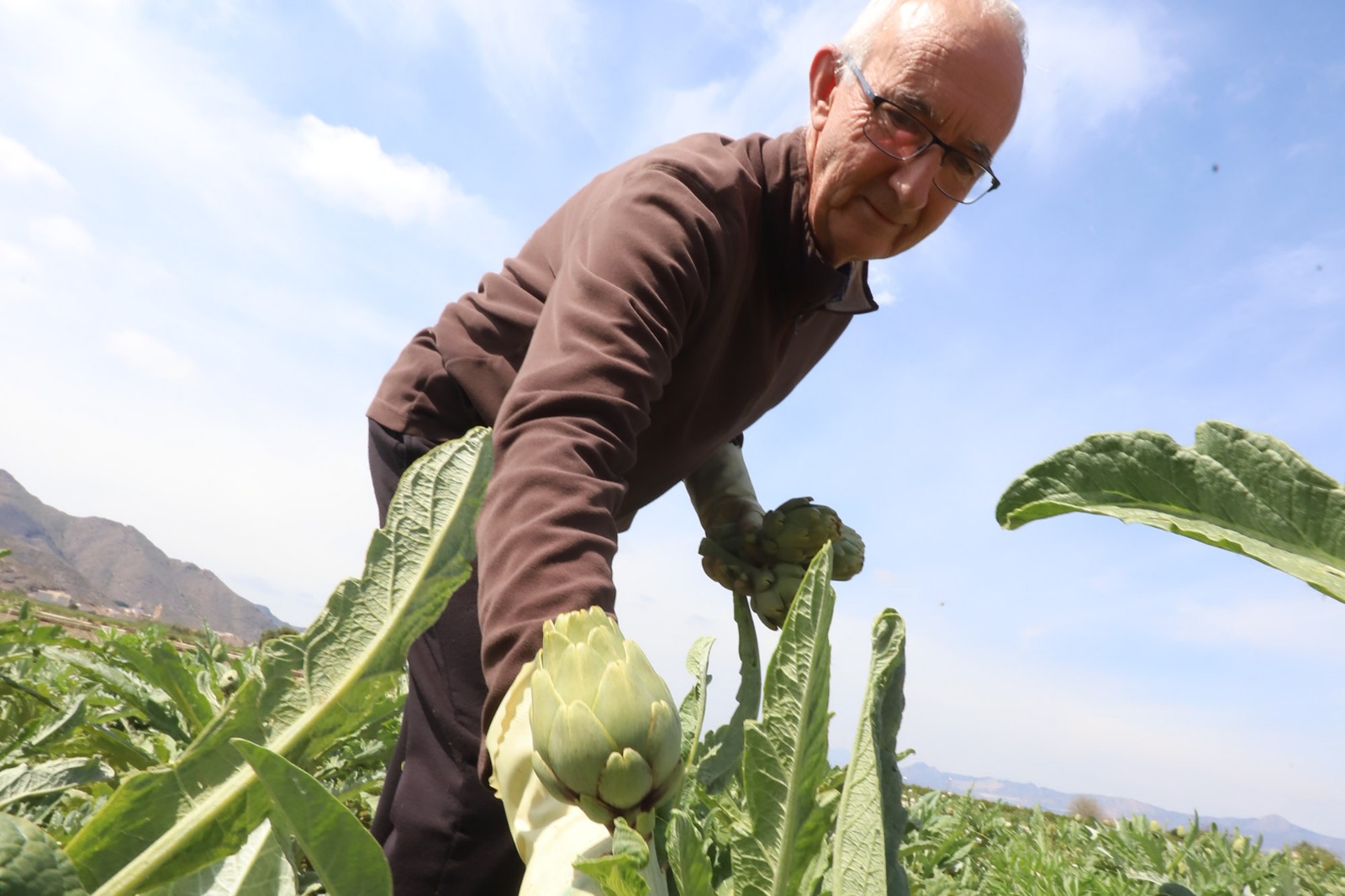 Juan José Cuenca lleva toda una vida cultivando en la huerta de Cox y vendiendo sus frutas y verduras en los mercadillos de la provincia.